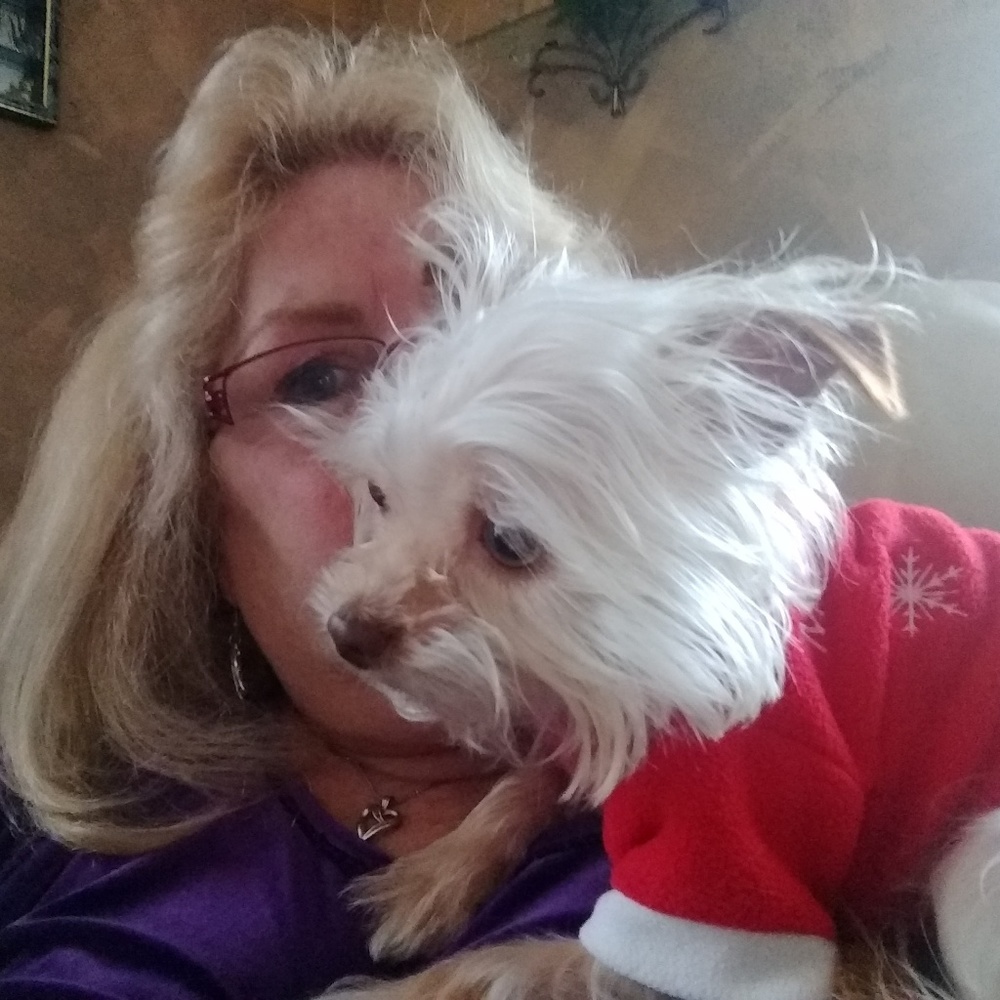 Meet your Posher, Roberta